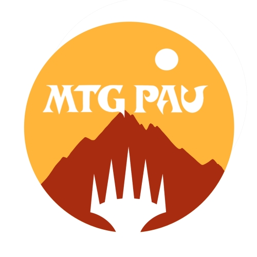 User Valentin FAYOLLE (MTG Pau) profile picture