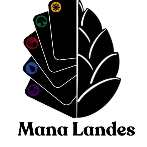 User Adrien GONI (Mana Landes) profile picture